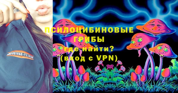гашик Мегион