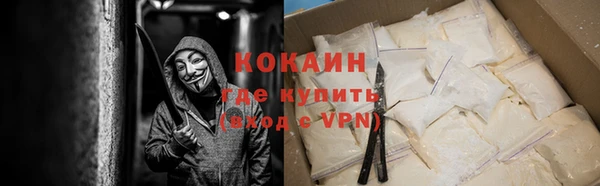 гашик Мегион