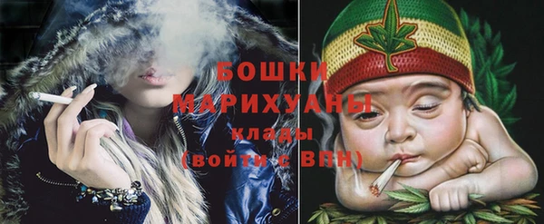 гашик Мегион