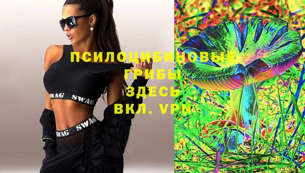 гашик Мегион