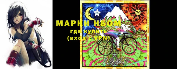 гашик Мегион
