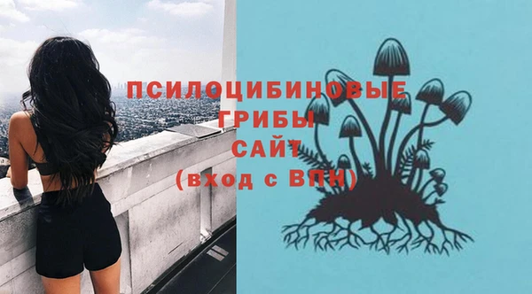 гашик Мегион